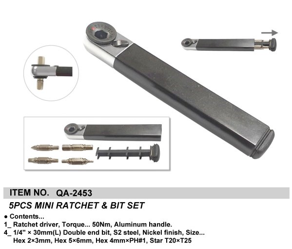 5PCS MINI RATCHET & BIT SET